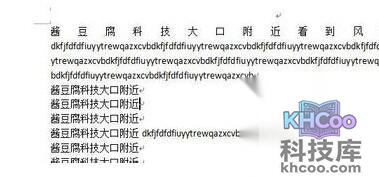 怎样将Word中的中英文分开1