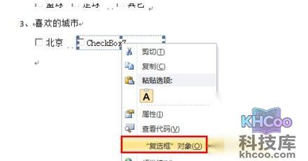 Word2010如何插入复选框7