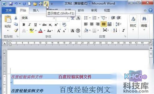 Word2010设文字置了哪些格式7