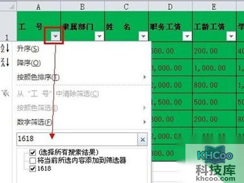 Excel中筛选功能使用方法/同类筛选步骤1