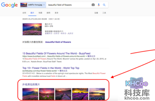 google识图