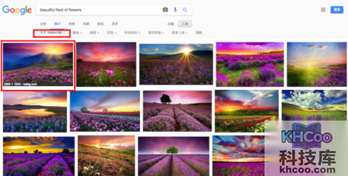 google识图