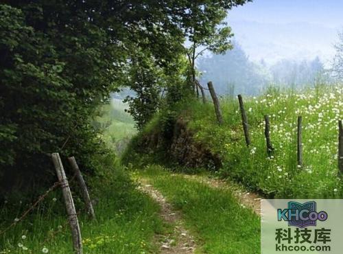 电脑开机桌面什么都没有