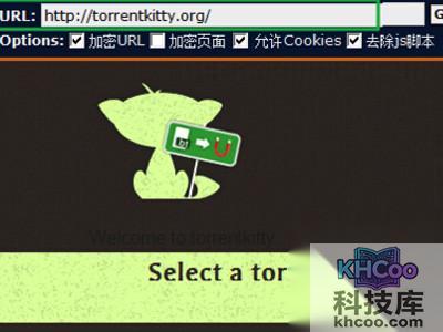 torrentkitty打不开怎么办