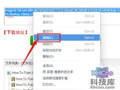 torrentkitty中文网怎么用