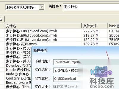 P2P种子搜索器怎么用