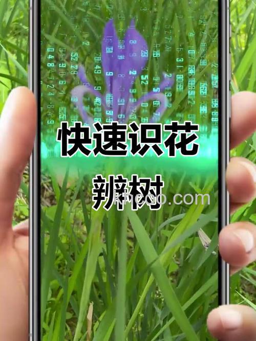 微信怎么识别花草 微信识别花草的操作方法【详解】