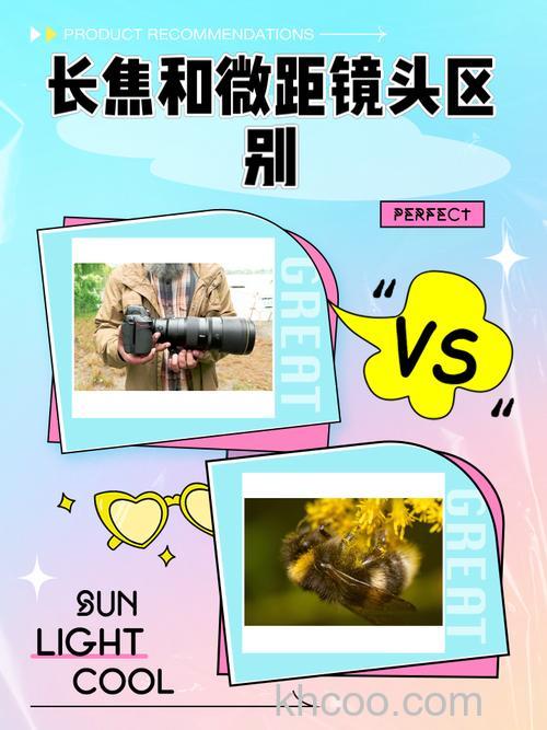 微距镜头与普通镜头有什么区别 微距镜头与普通镜头区别介绍【详解】