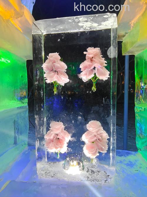 拍摄冰灯需要注意什么 拍摄冰灯需要注意事项【详解】