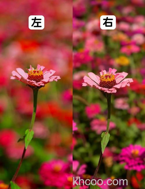 什么是长焦相机 长焦相机和单反相机区别【详解】