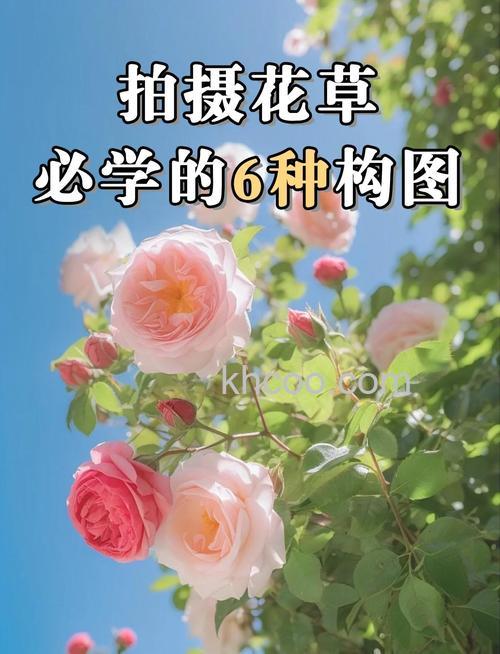春季花卉摄影有什么技巧 春季花卉摄影技巧【详解】