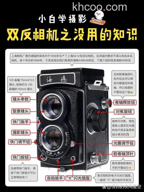 双反相机品牌相关信息介绍