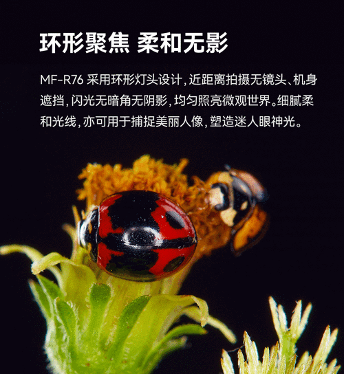 微距环闪是什么 微距环闪有什么作用【详细介绍】