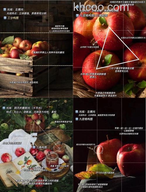 怎么拍静物摄影 静物摄影技巧有哪些【详细介绍】