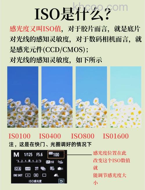 ISO感光度是什么 ISO感光度相关介绍