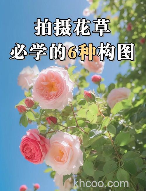 花卉拍摄技巧有哪些 花卉拍摄需要注意什么【详解】