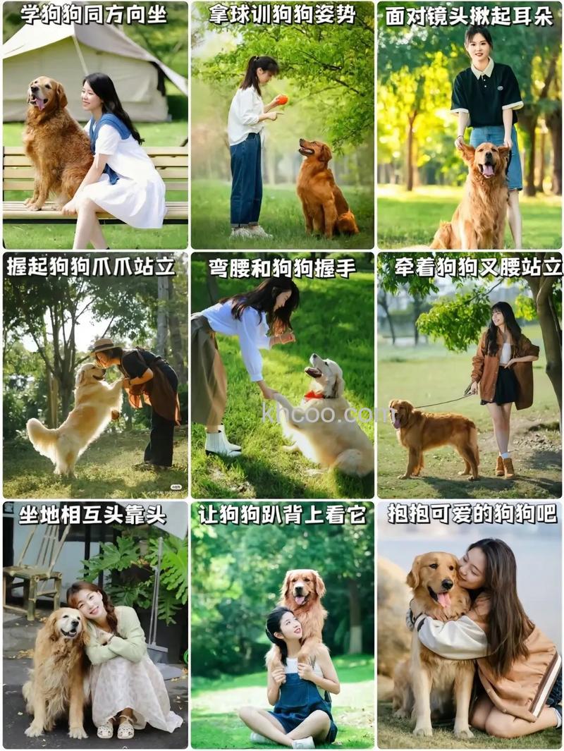 如何拍出萌宠照片 宠物摄影需要注意事项【详细介绍】