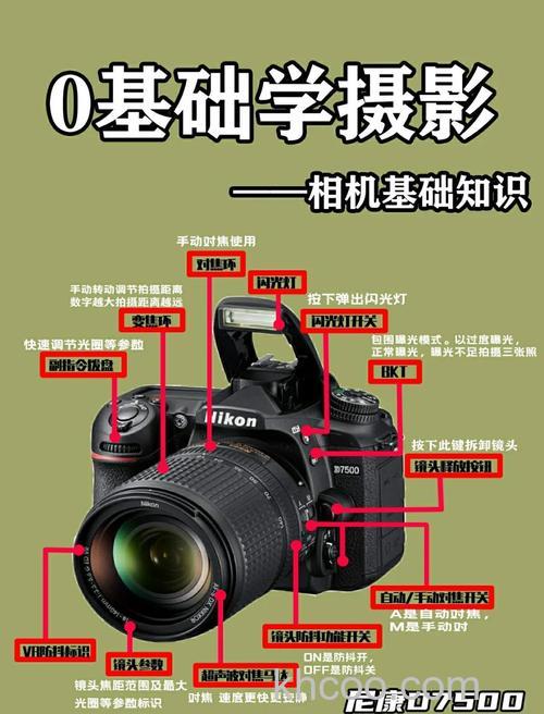 数码相机有哪些拍照技巧 数码相机拍照技巧【教程】