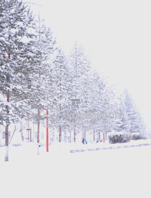 佳能550d怎么拍雪景 佳能550d拍雪景有哪些技巧【详细介绍】