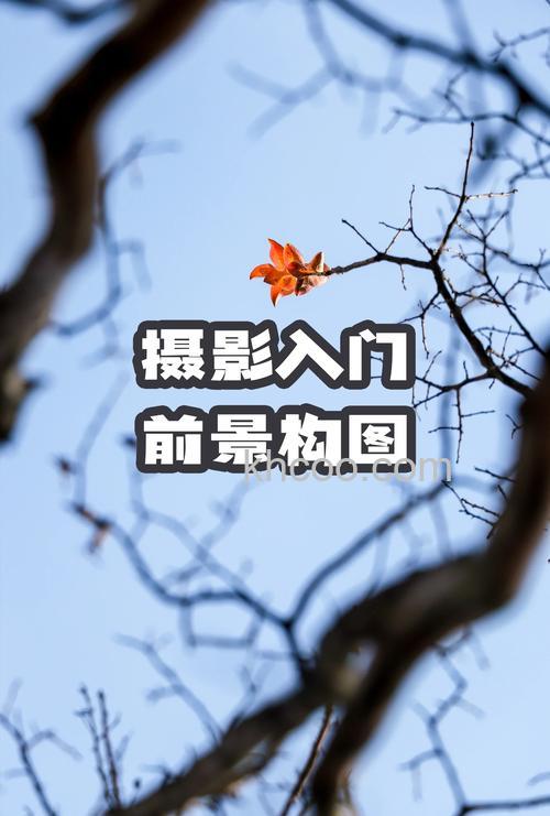 构图中如何运用前景