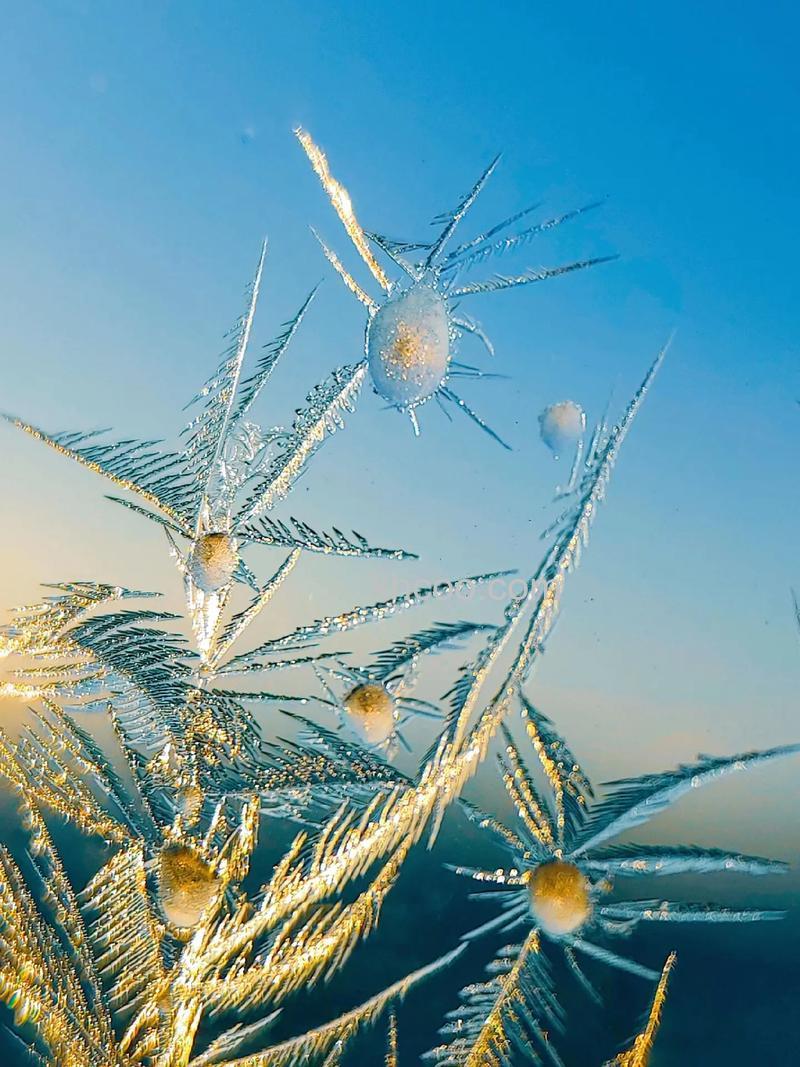 如何拍摄出晶莹剔透的冰花