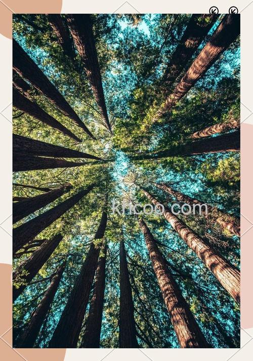 如何利用汇聚线条构图