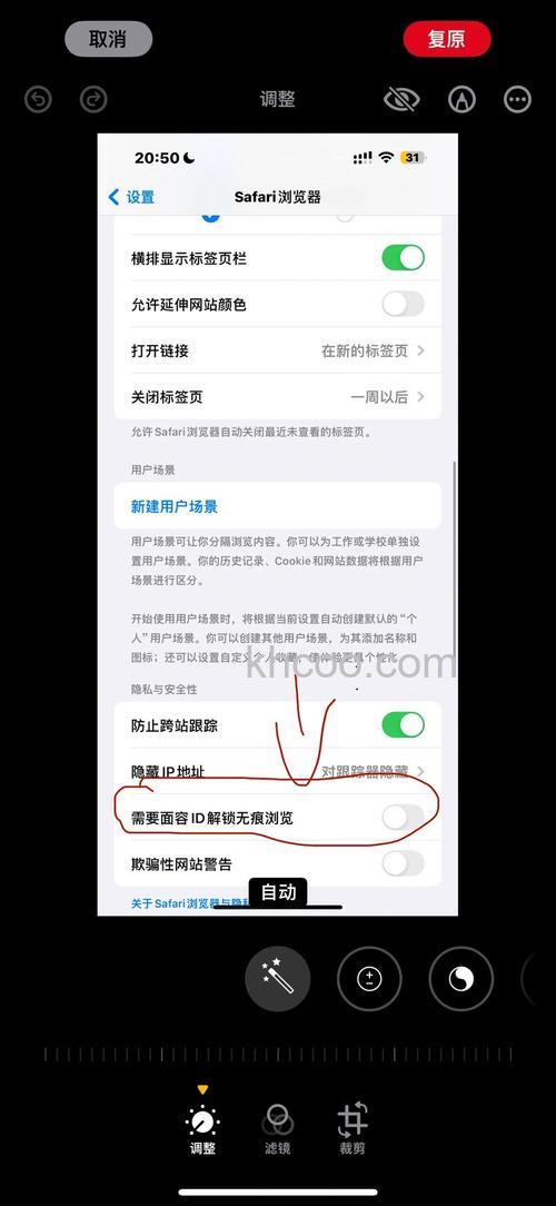 ios17无痕浏览功能怎么用 ios17无痕浏览功能使用方法【详解】