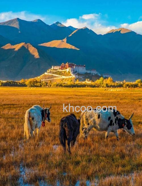 西藏摄影有什么技巧