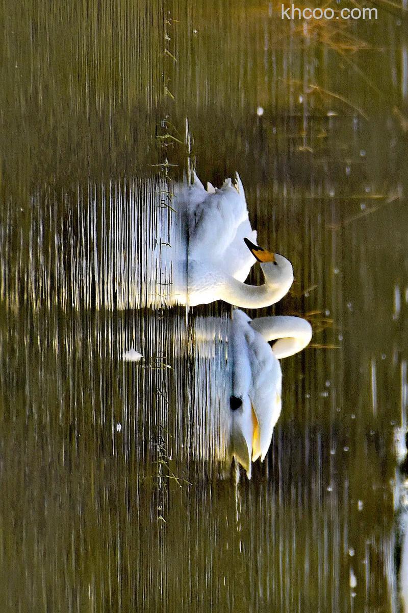 如何表现摄影艺术中的静与动