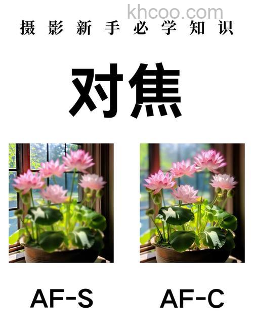 如何对焦点创造浅景深构图