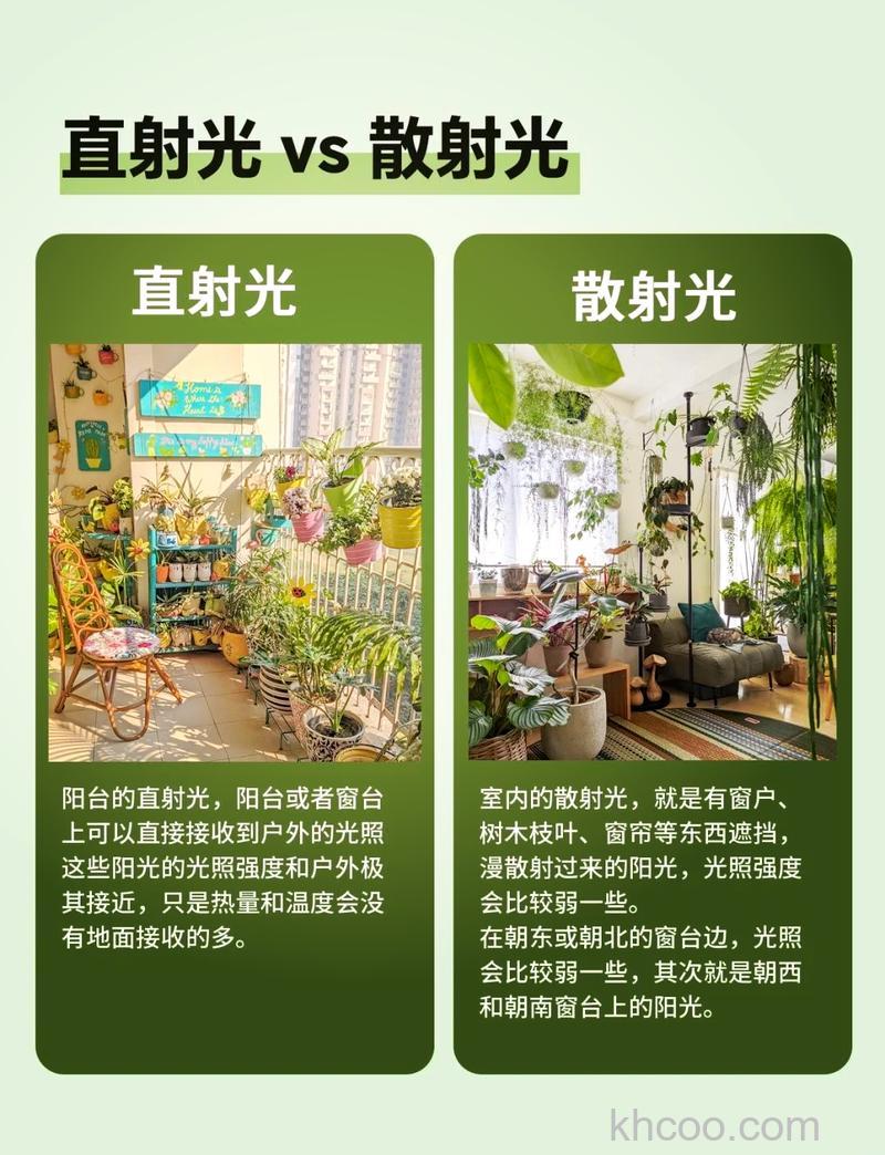 如何用好自然光