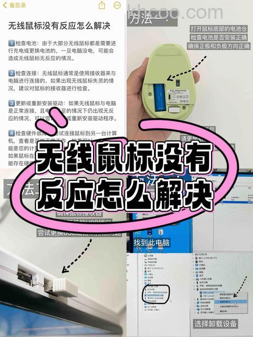 罗技m215无线鼠标没反应怎么解决 罗技m215无线鼠标没反应解决办法【详解】