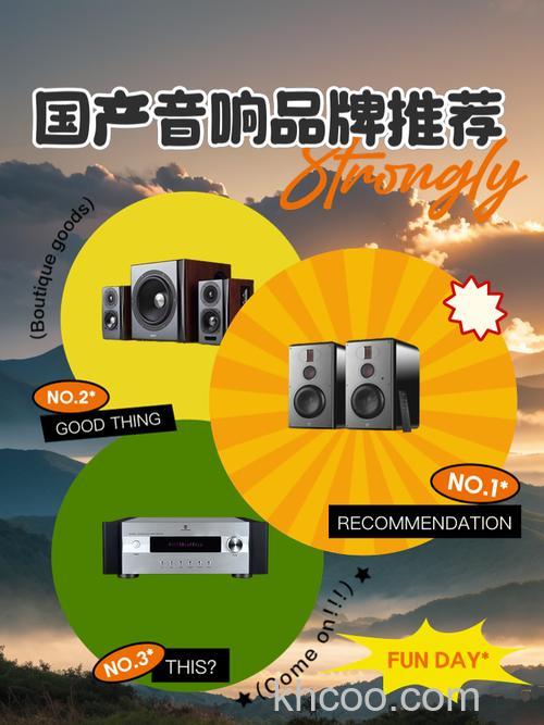 国产专业音响品牌有哪些 国产专业音响品牌推荐【详解】