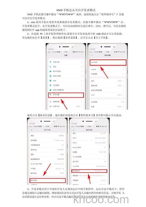 vivoY100怎么进入开发者模式 vivoY100进入开发者模式方法【步骤】