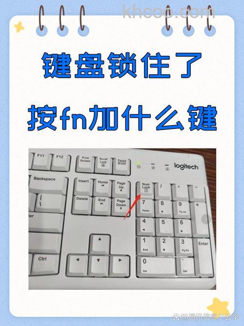 电脑键盘锁了怎么解锁 电脑键盘解锁方法【详解】
