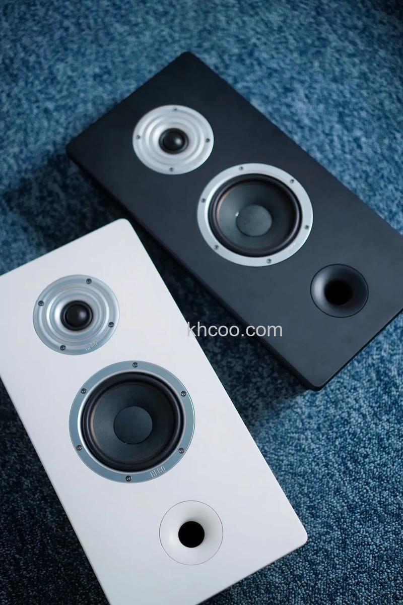 壁挂音响哪个牌子好 壁挂音响品牌推荐【详细介绍】