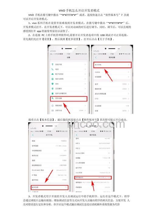 vivoY100怎么关闭开发者模式 vivoY100关闭开发者模式方法【教程】
