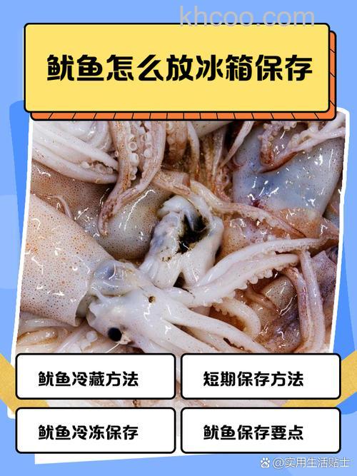 海味要放冰箱吗 海味怎么保存【详解】