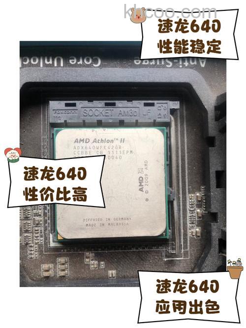 速龙II X4 640支持病毒防护技术吗