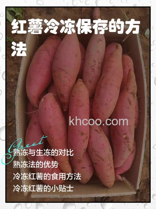 冰箱里冻过的红薯是否可以食用 冰箱里冻过的红薯会变质吗【详解】