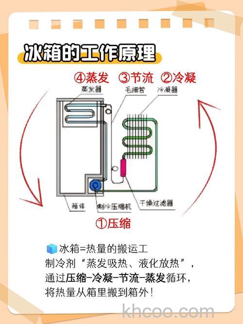 0度保鲜的冰箱怎样 0度保鲜的冰箱的工作原理及使用方法【详解】