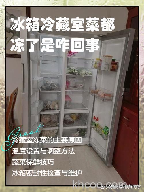 美菱冰箱冷藏室菜总冻是什么原因 美菱冰箱冷藏室菜总冻的原因及解决方法【详解】