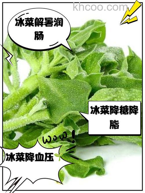 如何处理冻伤的蔬菜 处理冻伤的蔬菜方法【详解】