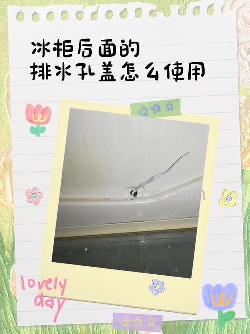 冰柜使用时排水孔是否需要打开 如何打开冰柜排水孔【详解】