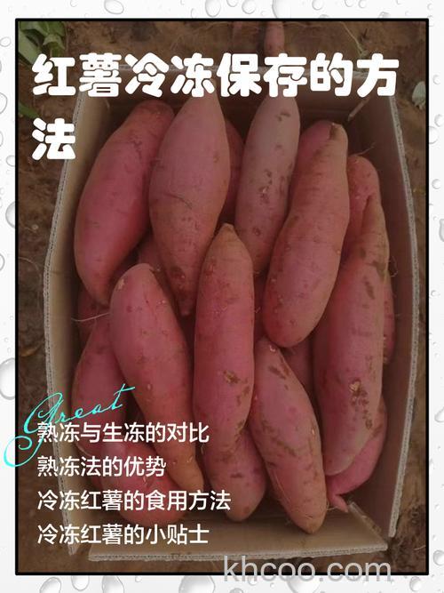 绍红薯可以放在冰箱里冰冻多久吃【详解】