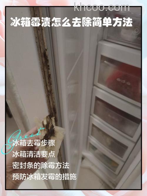 怎样防止冰箱保鲜室发霉 防止冰箱保鲜室发霉方法【详解】