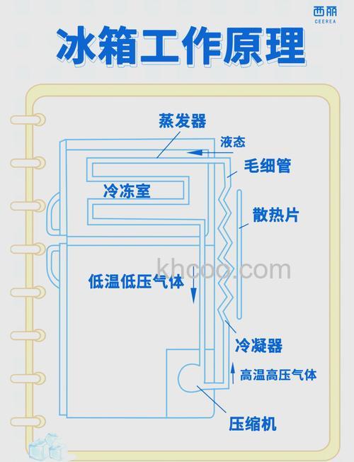 冰箱恒温多少度最凉 冰箱恒温的基本原理【详解】