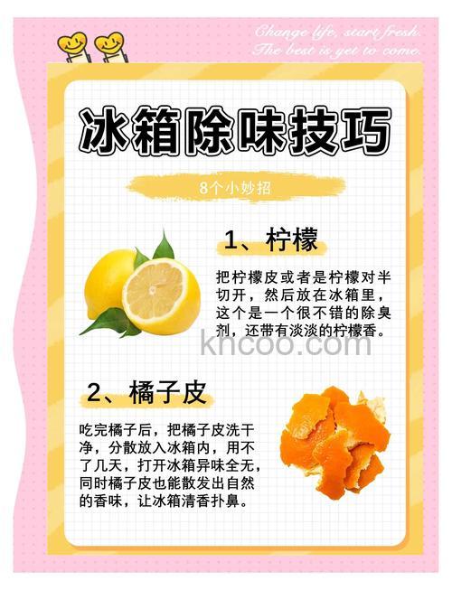 冰箱除味用什么方法最好最快 冰箱除味方法【详解】