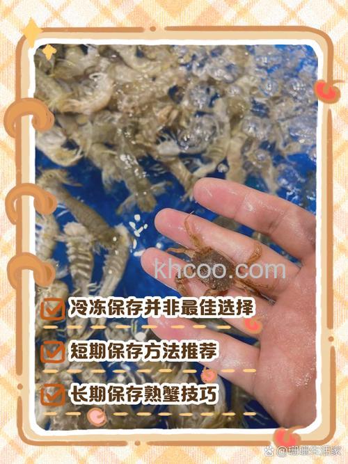 冰箱冷冻海鲜多少度合适保存好 延长冷冻海鲜的保存时间方法【详解】