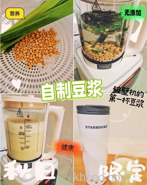 普通榨汁机怎么做豆浆 普通榨汁机做豆浆方法【详解】